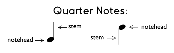Examples of quarter notes with the stem up and the stem down.